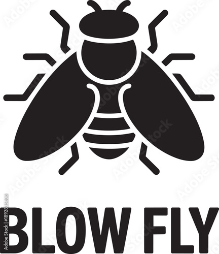 Blow fly insect silhouette vector illustration on transparent background design element for artwork