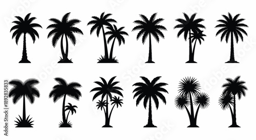 Assortment of black palm tree silhouettes Keywords palm tree, silhouette, tropical, nature