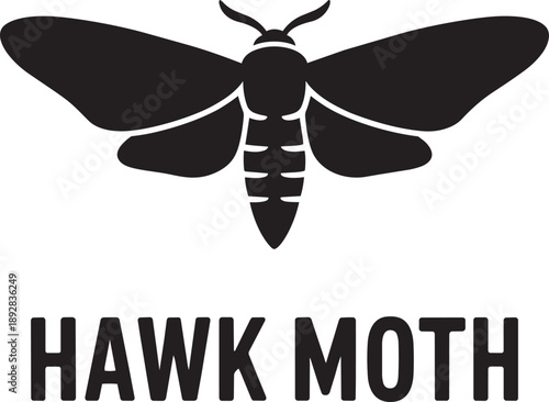 Hawk moth insect butterfly creature wings body antennae black silhouette vector illustration