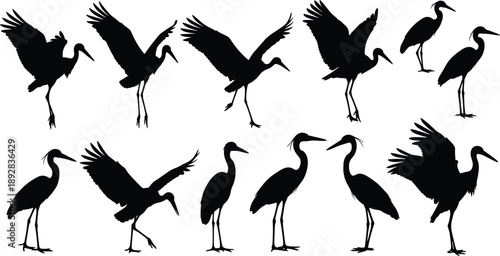 Set of heron and crane bird silhouettes in standing and flying poses, isolated on white background for wildlife, wetland, and nature design projects
