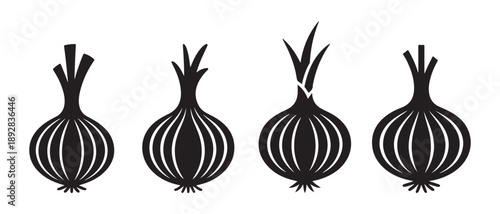 Black Onion Icons Set. Isolated on White Background.