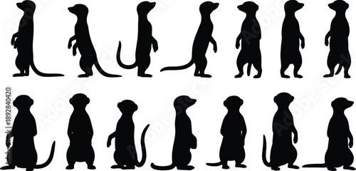 Meerkat silhouette collection showing standing poses wildlife animal illustration isolated on white background vector design stock art set