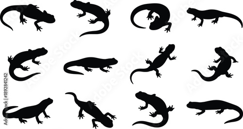 Set of black lizard silhouettes in various poses, isolated on white background, reptile shapes for wildlife, nature, and animal design projects