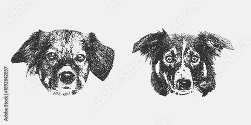 Dog head in witch hat with collage element with retro grainy texture, black and white sketch depicts the faces of two adorable fluffy dogs facing forward