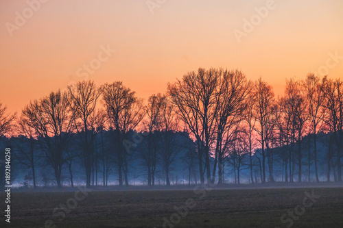 Celle, 29.01.2026