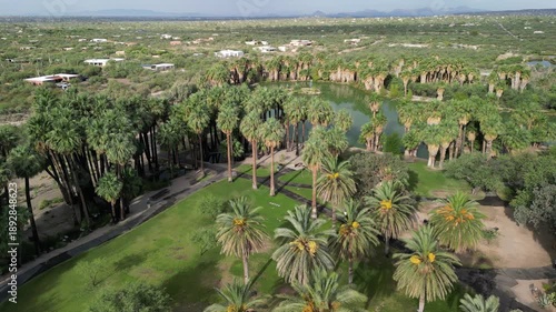 Tucson, Arizona, USA - August 6th, 2025: Aerial view of Agua Caliente Regional Park featuring dense palm grove oasis surrounding turquoise lake desert landscape