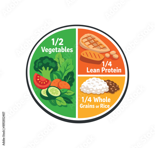 colored flat icon vector illustration isolated on white background dinner plate divided visually into veggies rice and lean protein simple safe portion guide