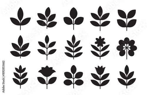 Set of leaves vector illustration, isolated on white background, suitable for plant, nature, and organic design