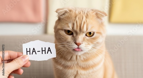 Funny cat with ha-ha note in hand