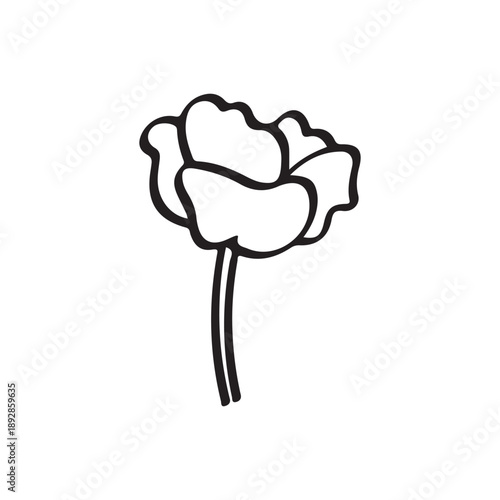 Hand Drawn Blooming Flower Rose Outline