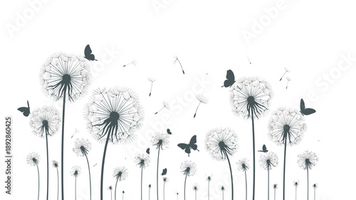 Dandelion seed heads and flying seeds are combined with butterflies in a minimalist black and white silhouette vector illustration.