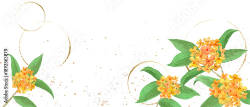 Watercolor orange osmanthus flowers with golden circles-300dpi-	