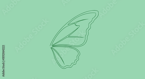 Delicate Outline of a Single Butterfly Wing.