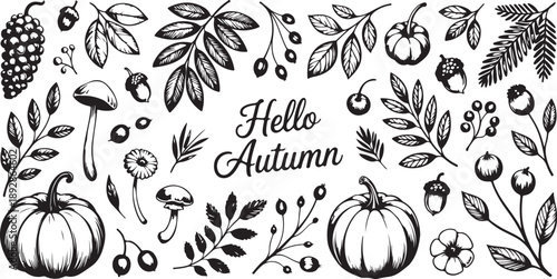 Autumn harvest decoration with pumpkins, mushrooms, acorns, berries, leaves and text hello autumn for seasonal celebration