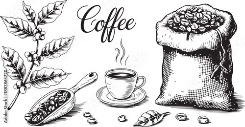Vintage coffee illustration with beans cup scoop and plant for cafe or restaurant menu
