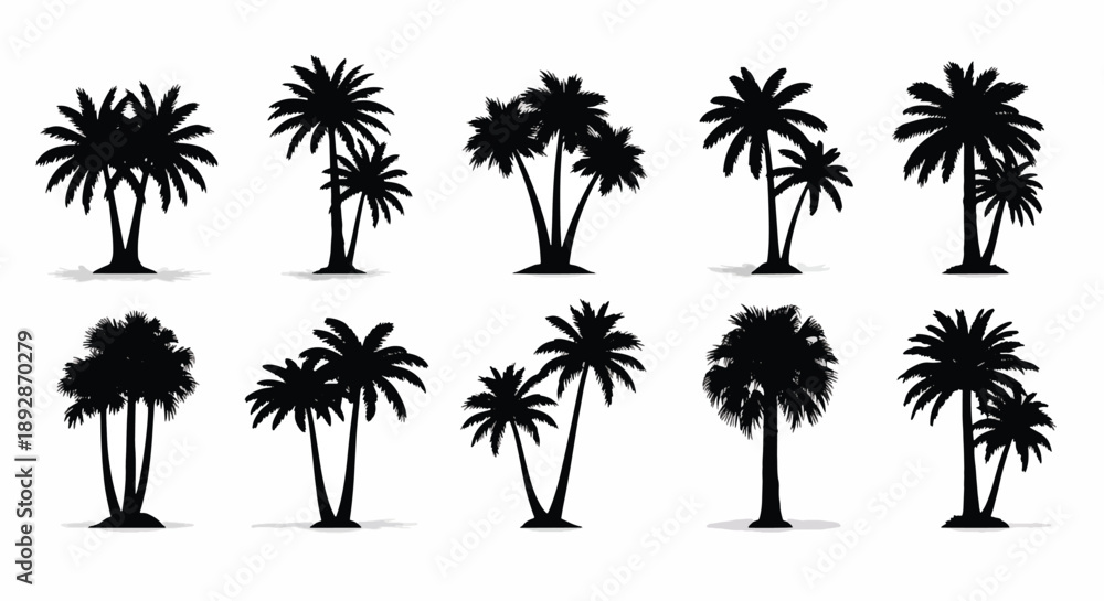 Obraz premium Collection of Palm Tree Silhouettes tropical nature