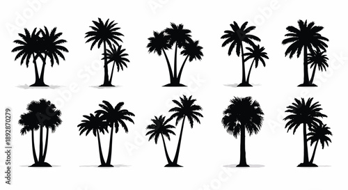 Collection of Palm Tree Silhouettes tropical nature