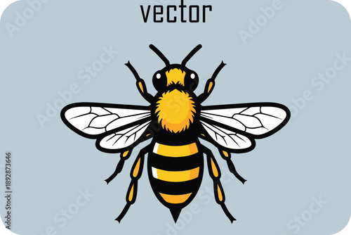 Beautiful yellow bee on light blue background