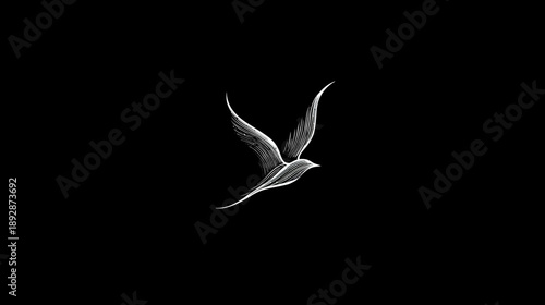 Elegant hand-drawn white bird flying on a black background, a symbol of freedom, peace, and hope. Stylized animal illustration.