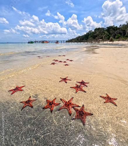 Red starfish resting on the white sand in shallow turquoise waters of Phu Quoc Island, Vietnam. Peaceful ocean atmosphere on a tropical coast featuring a wooden pier and lush jungle.