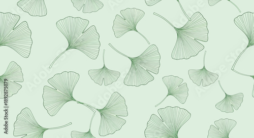Elegant botanical pattern of hand-drawn ginkgo leaves on a gentle green background