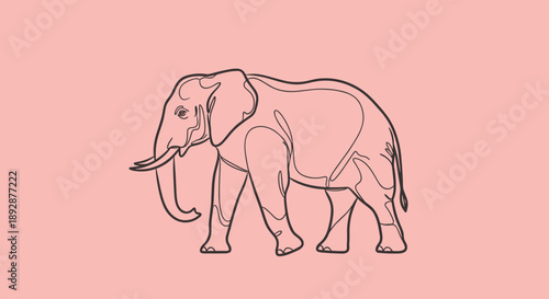 Elegant Line Art Elephant Illustration on Soft Pink Background.