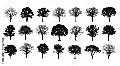 Diverse Collection of Black Tree Silhouettes in Different Seasons