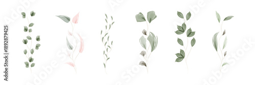 Six distinct hand-painted watercolor leaf and branch illustrations appear on a clean white background.