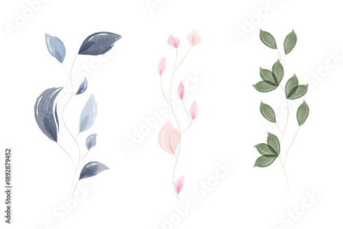 A beautiful set of watercolor botanical elements. It displays three distinct branches with translucent leaves in soft shades of blue, pink, and green, creating a natural and gentle feel.