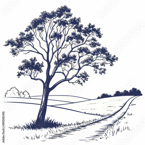 Lone tree in open field