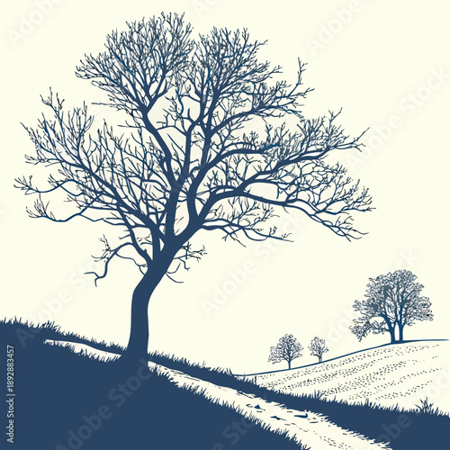 Winter landscape with bare trees