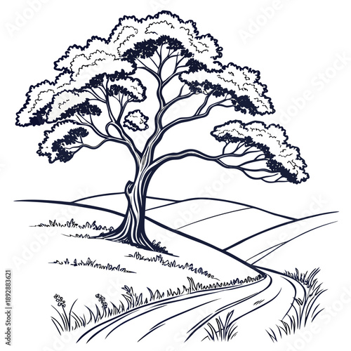 Lone tree on a hillside