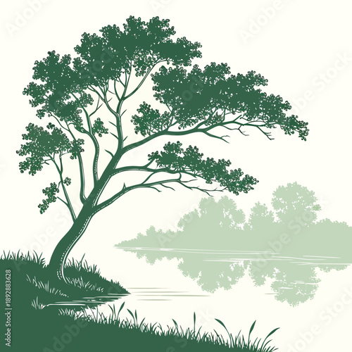 Serene tree by the river