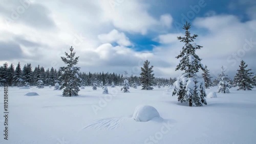 Wallpaper Mural A serene winter landscape, adorned with snow-laden fir trees under a cloudy sky. The pure, untouched snow blanketed the scene, presenting a tranquil panorama of the winter season. Torontodigital.ca