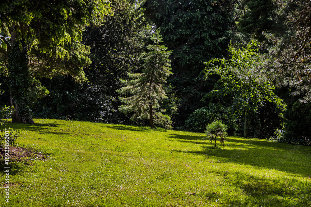 Obraz premium Clitheroe, Lancashire, England.