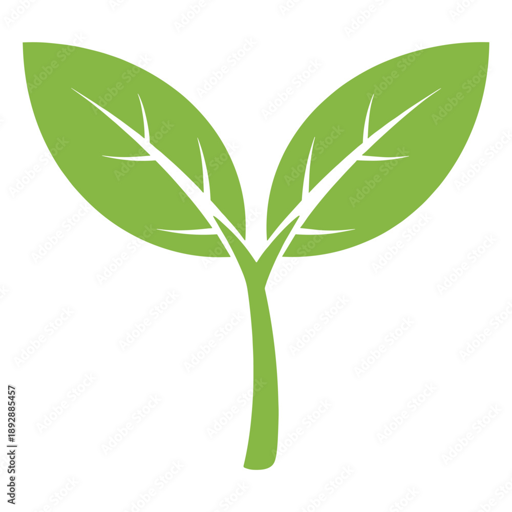 Fototapeta premium Green sprout vector illustration isolated on transparent background, plant growth symbol concept