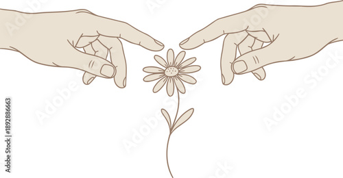 Two human hands reaching and touching a daisy flower, a symbol of nature and creation. Genesis. Vector illustration for art, poster