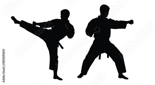 Two martial artists demonstrating a kick and punch silhouette
