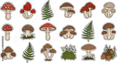 Mushroom and Fungi Sticker Set with White Outline Flat Vector Illustration Isolated on Gray