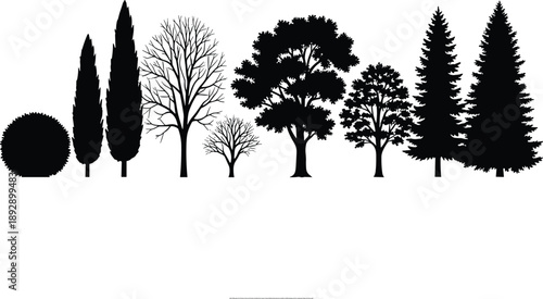 Black Silhouette Set of Diverse Trees and Shrubs Including Pine Cypress Oak and Winter Bare Branches Isolated on White Background for Landscape Design Architecture