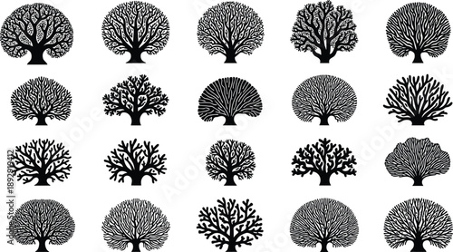 Vector black silhouette set of diverse deciduous and ornamental trees, featuring various leaf canopy shapes, isolated on a white background, nature.