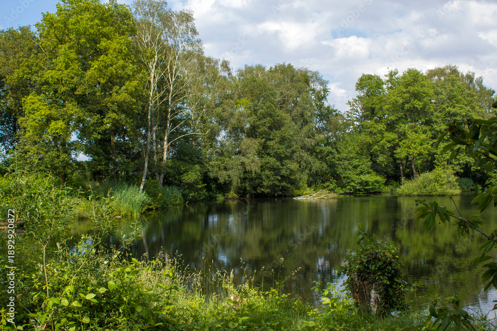 Fototapeta premium German countryside landscape, Lower Rhine Region, Germany