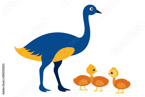 vector illustration of an ostrich