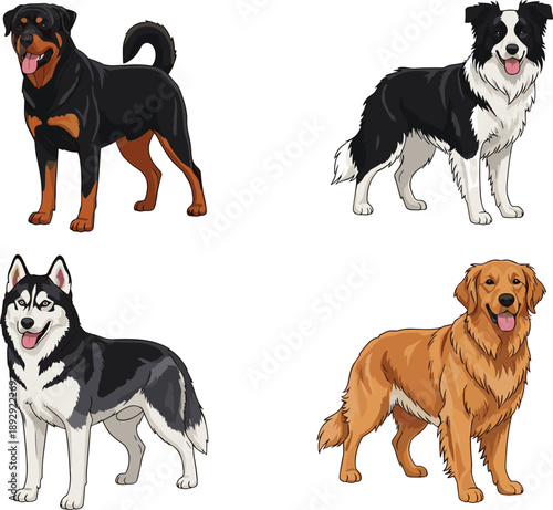 Professional Set of Popular Large Dog Breeds Featuring German Shepherd Rottweiler Border Collie Airedale Terrier Husky and Golden Retriever in Realistic Vector Style