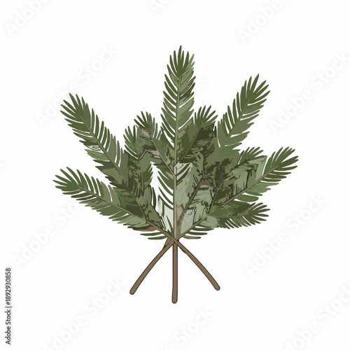 Christmas pine branches vector bouquet isolated on white background festive winter greenery