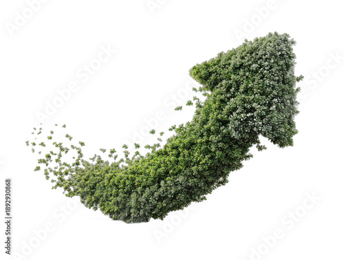 growth arrow isolated on a transparent background 