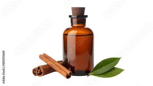 Essential cinnamon oil in glass bottle with aromatic bark sticks and green herbal leaves