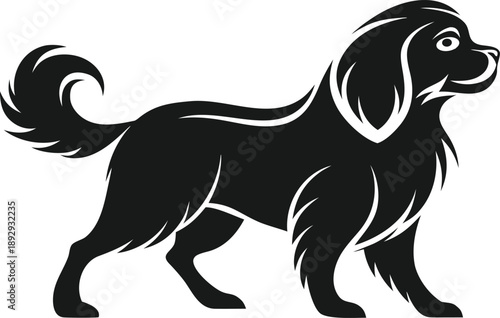 Japanese spaniel silhouette, toy dog vector, black pet illustration, fluffy canine icon, Japanese spaniel in silhollouette vector image.