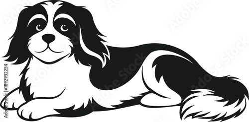 Japanese spaniel silhouette, toy dog vector, black pet illustration, fluffy canine icon, Japanese spaniel in silhollouette vector image.