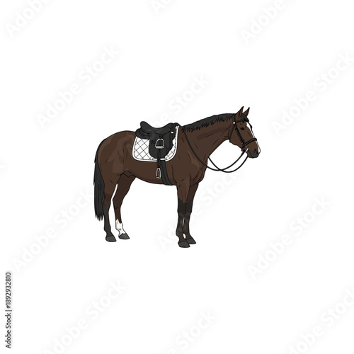 Brown Horse with Saddle and Bridle Standing Still.